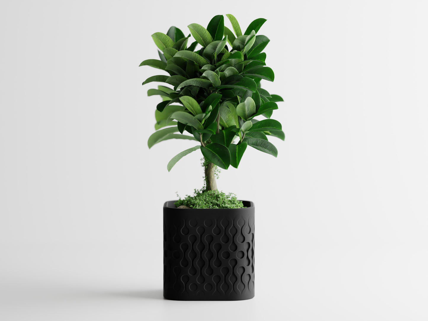 Ghiveci decorativ - Picora