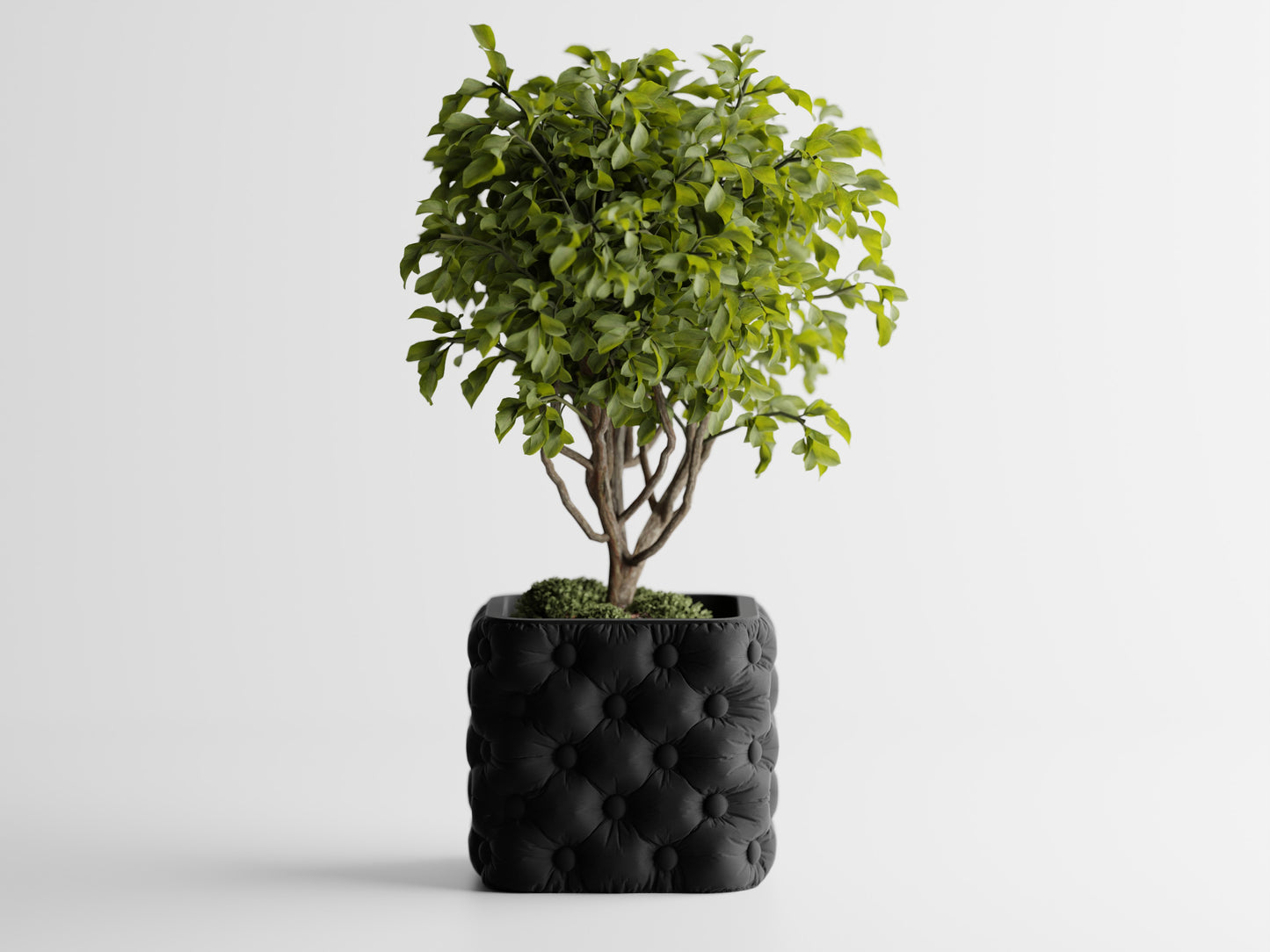 Ghiveci decorativ - Majestic