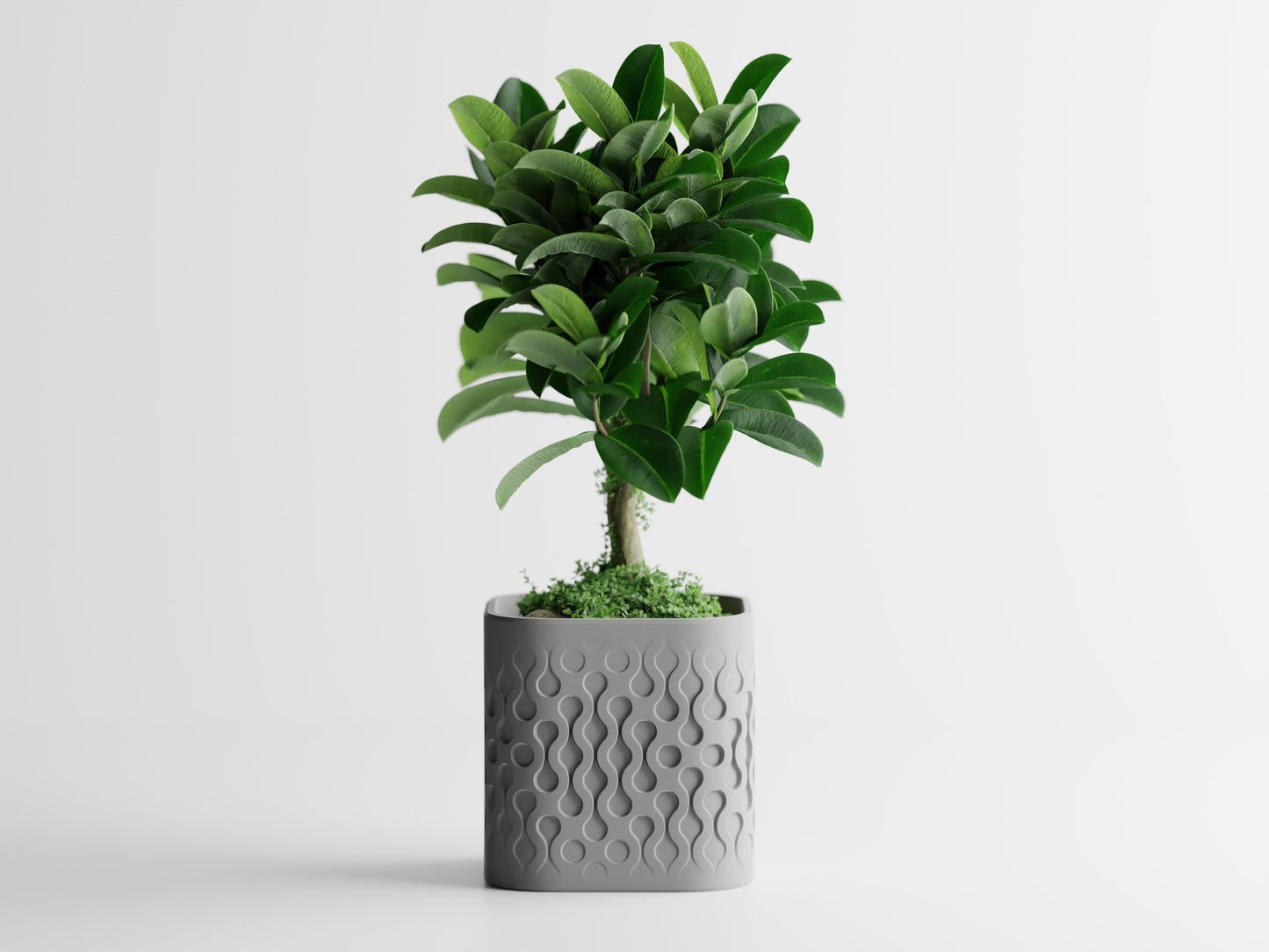 Ghiveci decorativ - Picora
