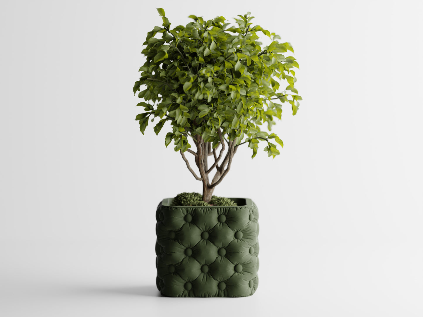 Ghiveci decorativ - Majestic