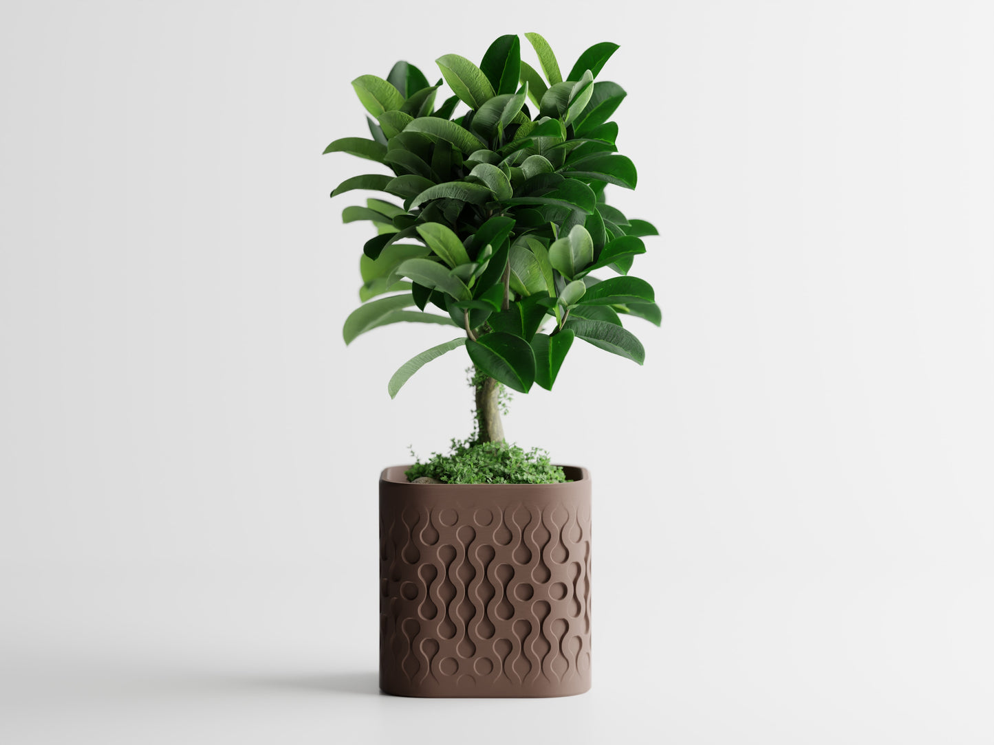 Ghiveci decorativ - Picora
