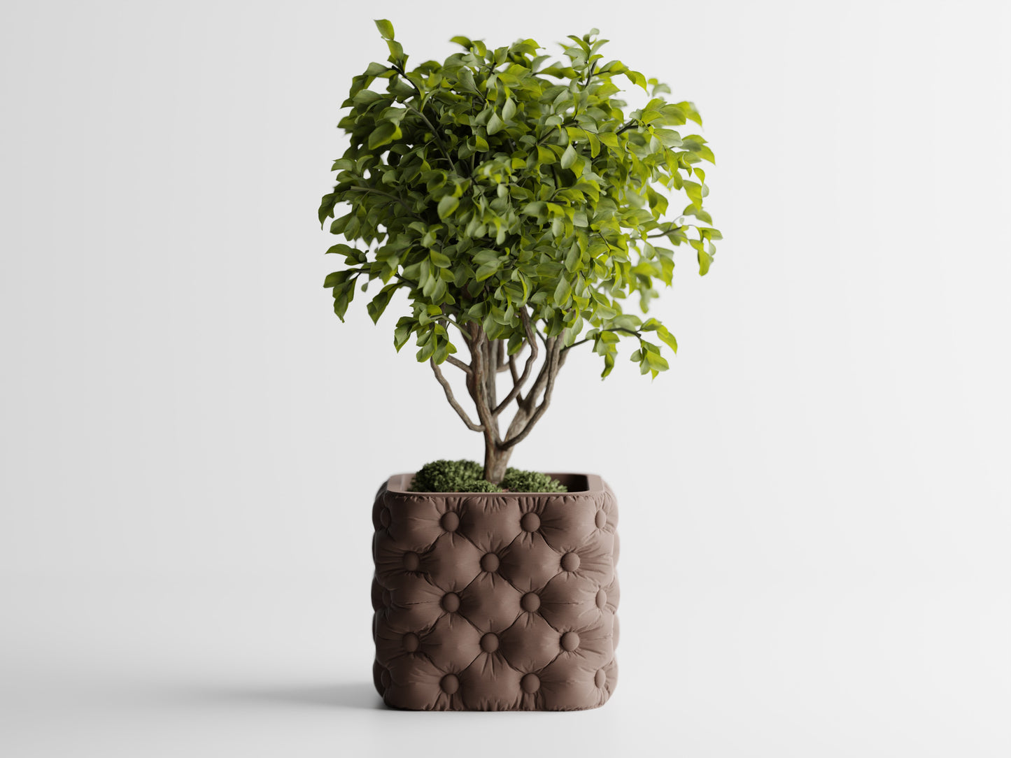 Ghiveci decorativ - Majestic