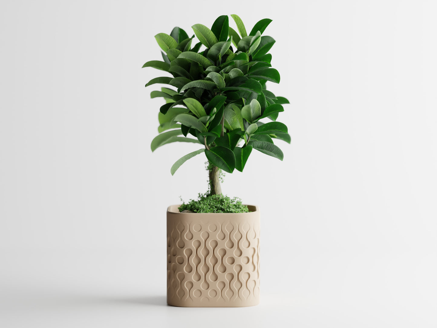 Ghiveci decorativ - Picora