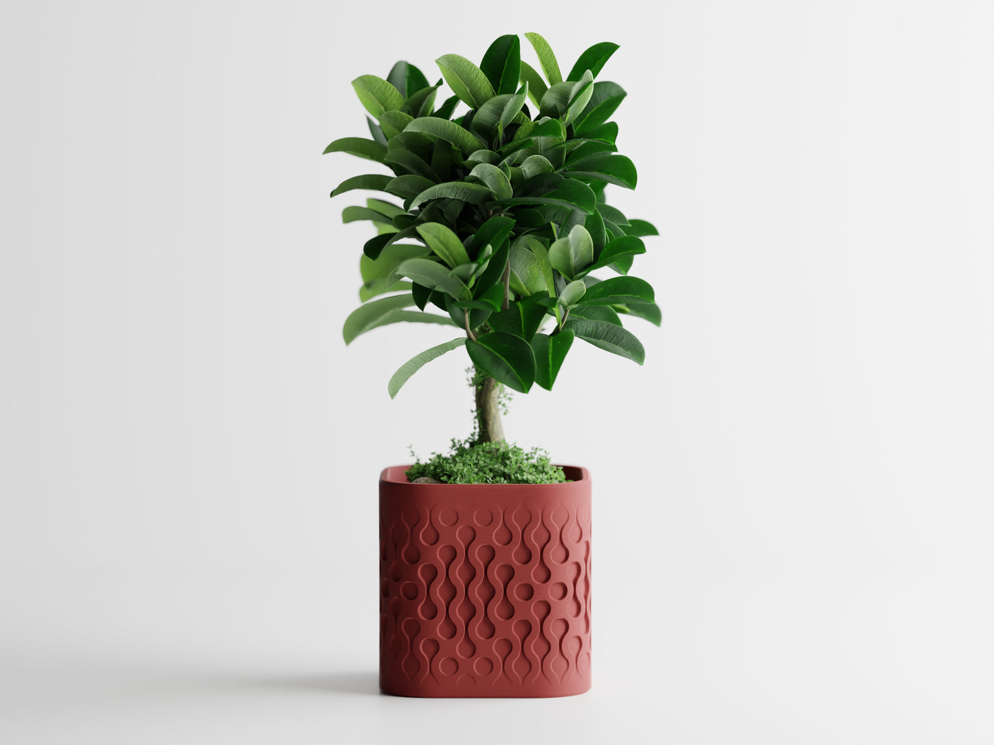 Ghiveci decorativ - Picora