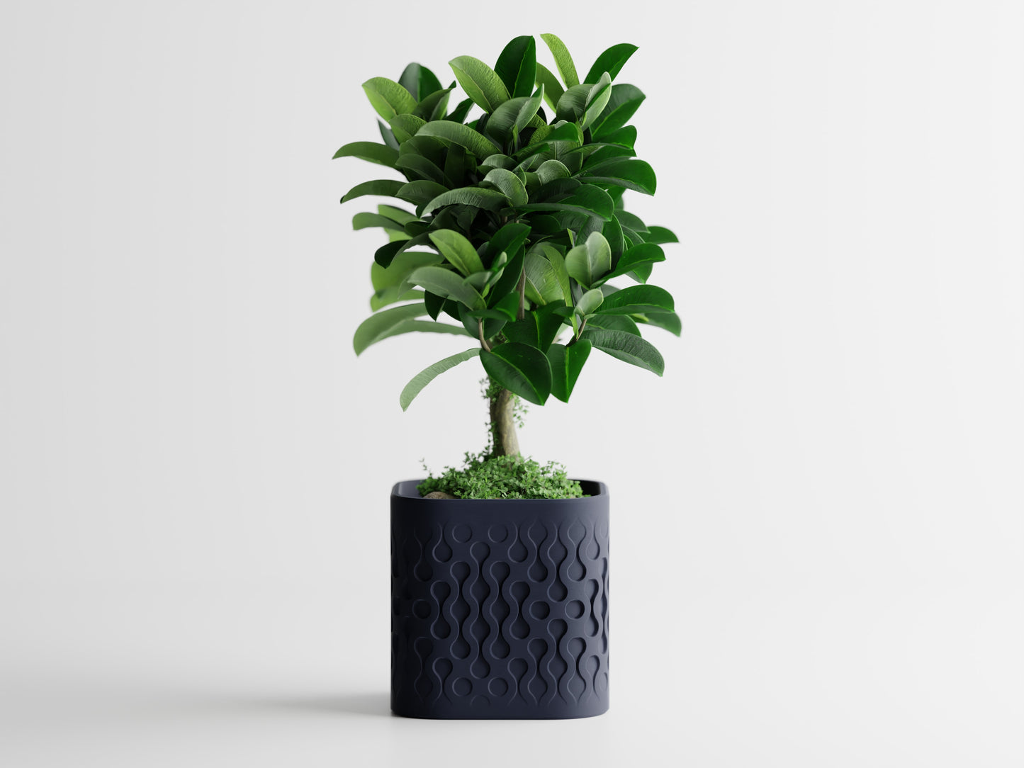 Ghiveci decorativ - Picora