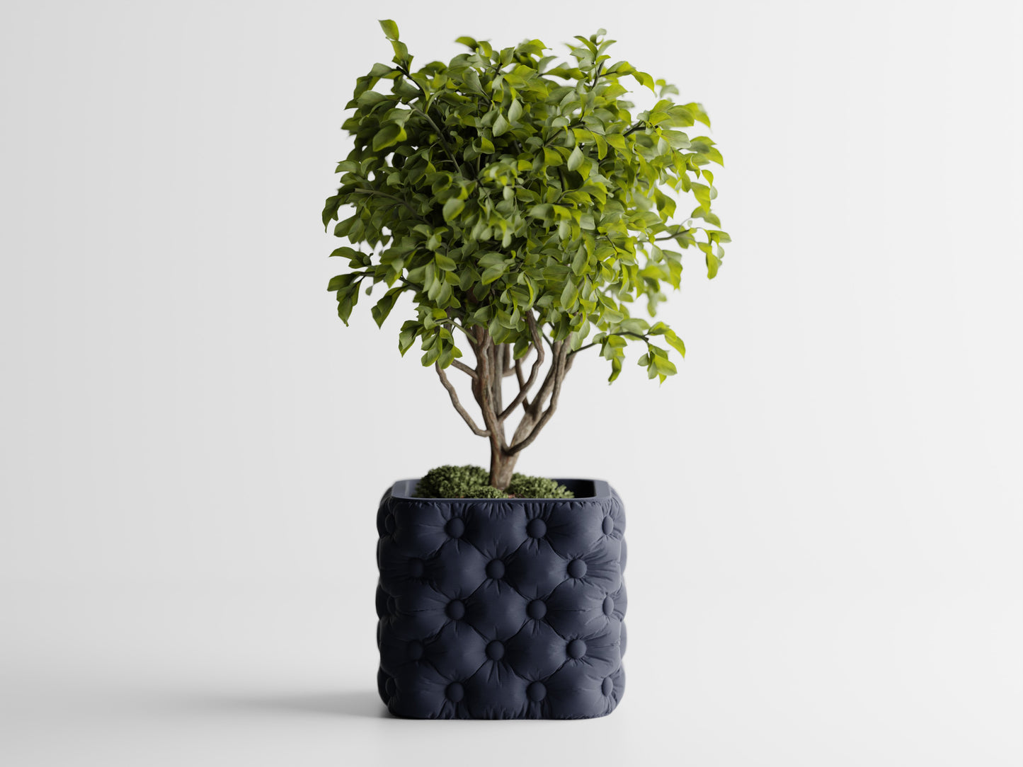 Ghiveci decorativ - Majestic