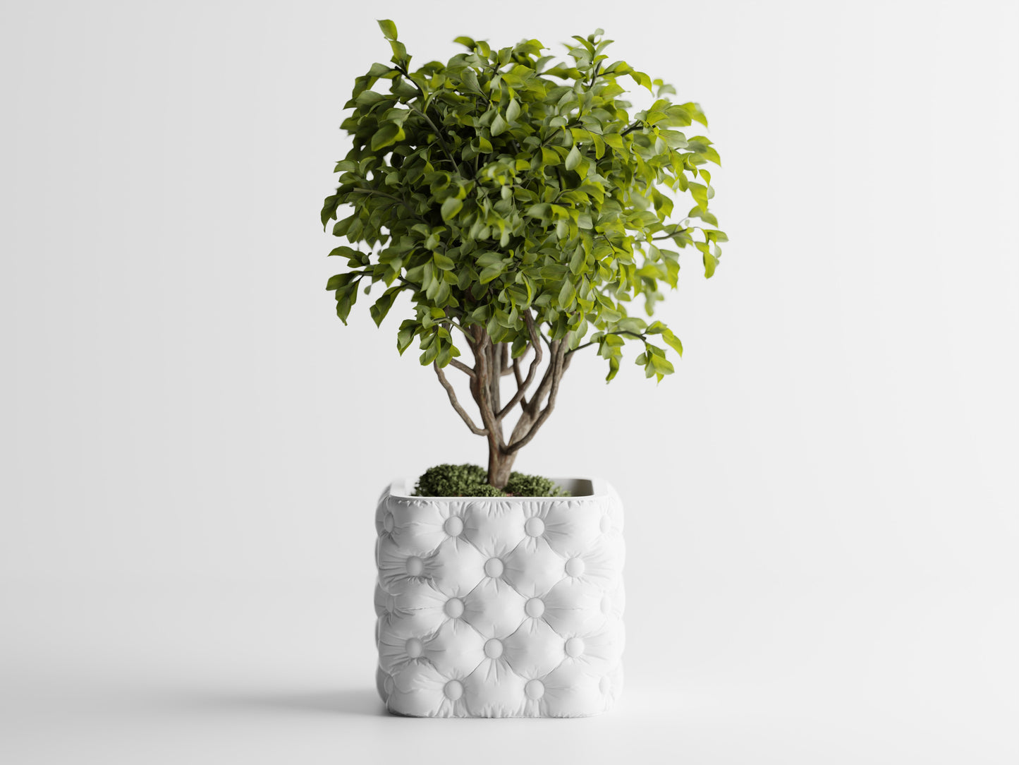 Ghiveci decorativ - Majestic