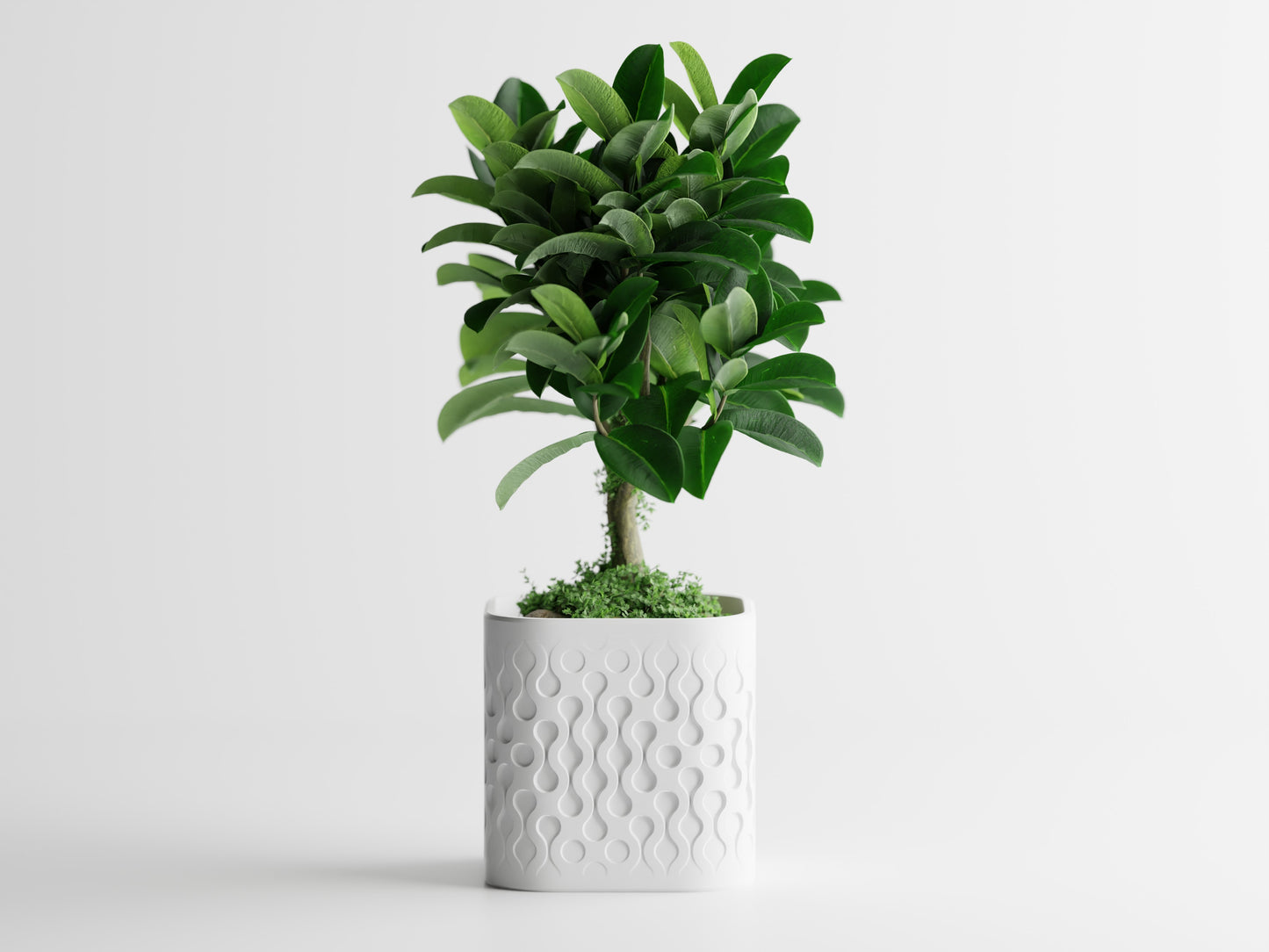 Ghiveci decorativ - Picora