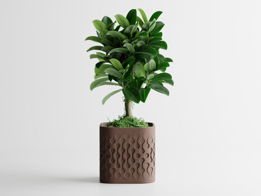 Ghiveci decorativ - Picora