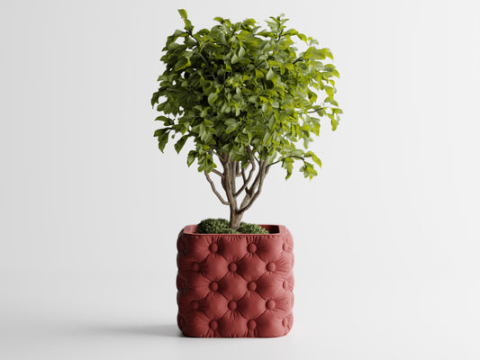 Ghiveci decorativ - Majestic